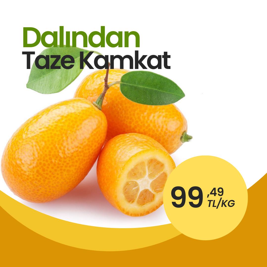 Dalından%20Taze%201%20KG%20Kamkat%20Meyvesi