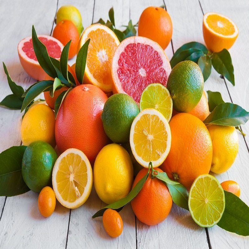 Aşılı Kamkat, Mandalina ve Yediveren Limon Fidanı Seti | 3’lü Narenciye Paketi Torbalı