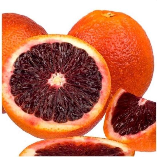 3 Yaş Tüplü Bol Sulu Kan Portakalı Fidanı