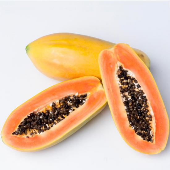 Bodur PAPAYA Fidanı Saksıda 100 Cm Üzeri Sınırlı Stok